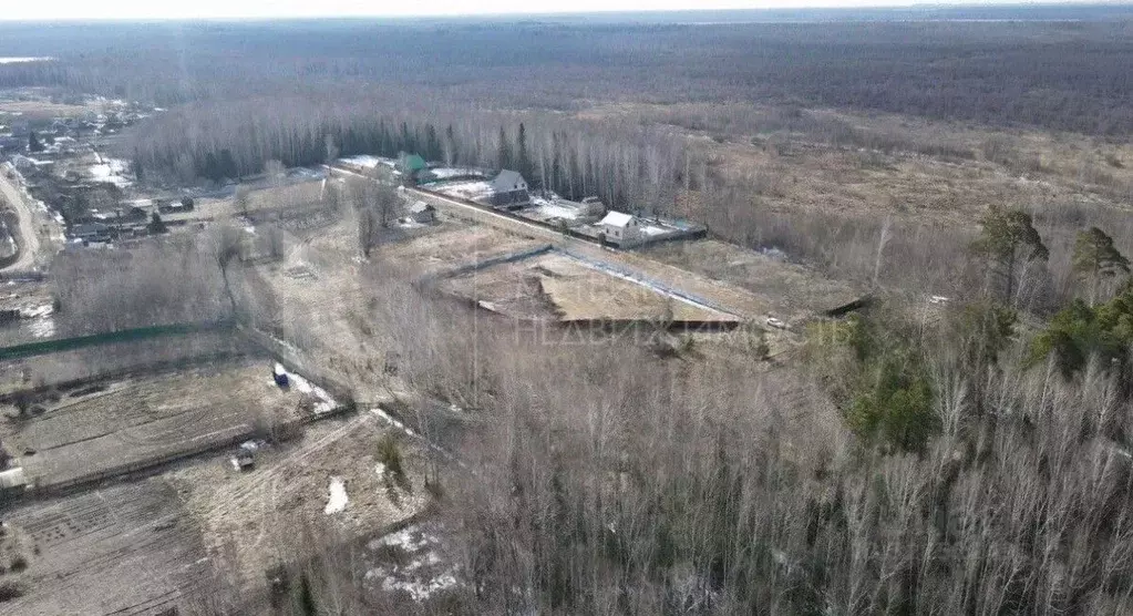 Участок в Тюменская область, Нижнетавдинский муниципальный округ, пос. ... - Фото 2