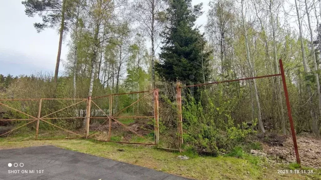 Участок в Ленинградская область, Выборгский район, Полянское с/пос, ... - Фото 1