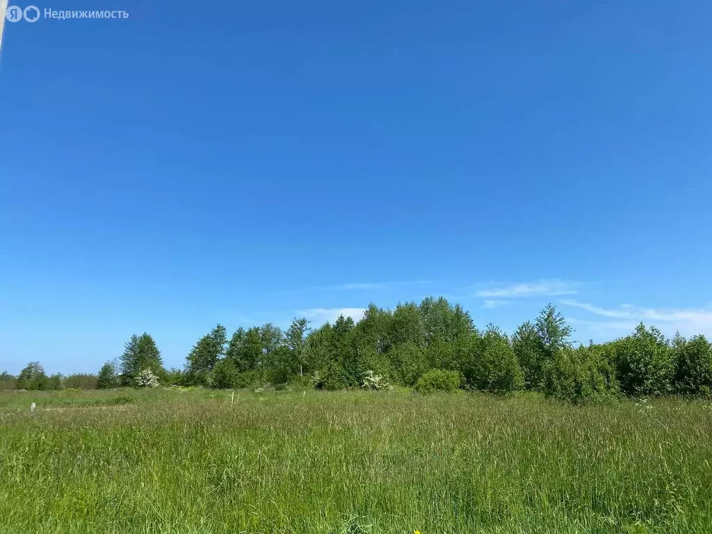 Участок в Калининградская область, Зеленоградск (7.5 м) - Фото 0
