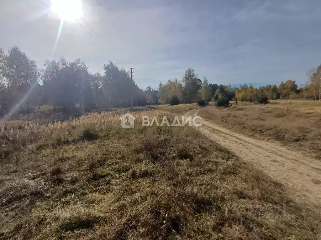 Участок в Рязанская область, Клепиковский район, Ненашкинское с/пос, ... - Фото 1