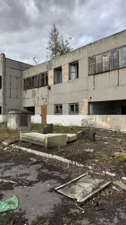 Производственное помещение в Челябинская область, Южноуральск ул. ... - Фото 2