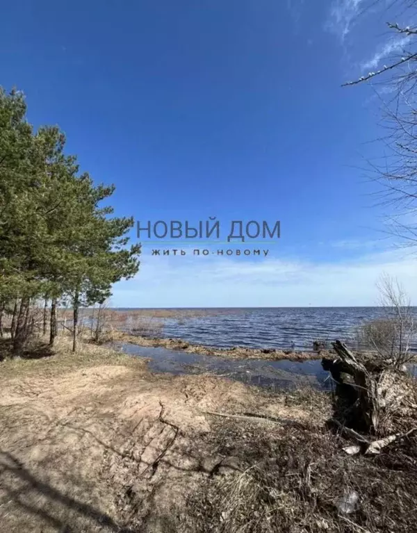 Дом в Новгородская область, Новгородский район, Ракомское с/пос, д. ... - Фото 1