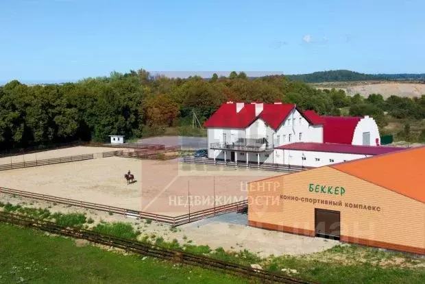 Помещение свободного назначения в Калининградская область, Янтарный ... - Фото 1