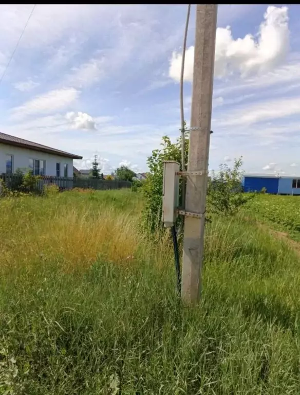 Участок в Псковская область, Псковский район, Логозовская волость, д. ... - Фото 1