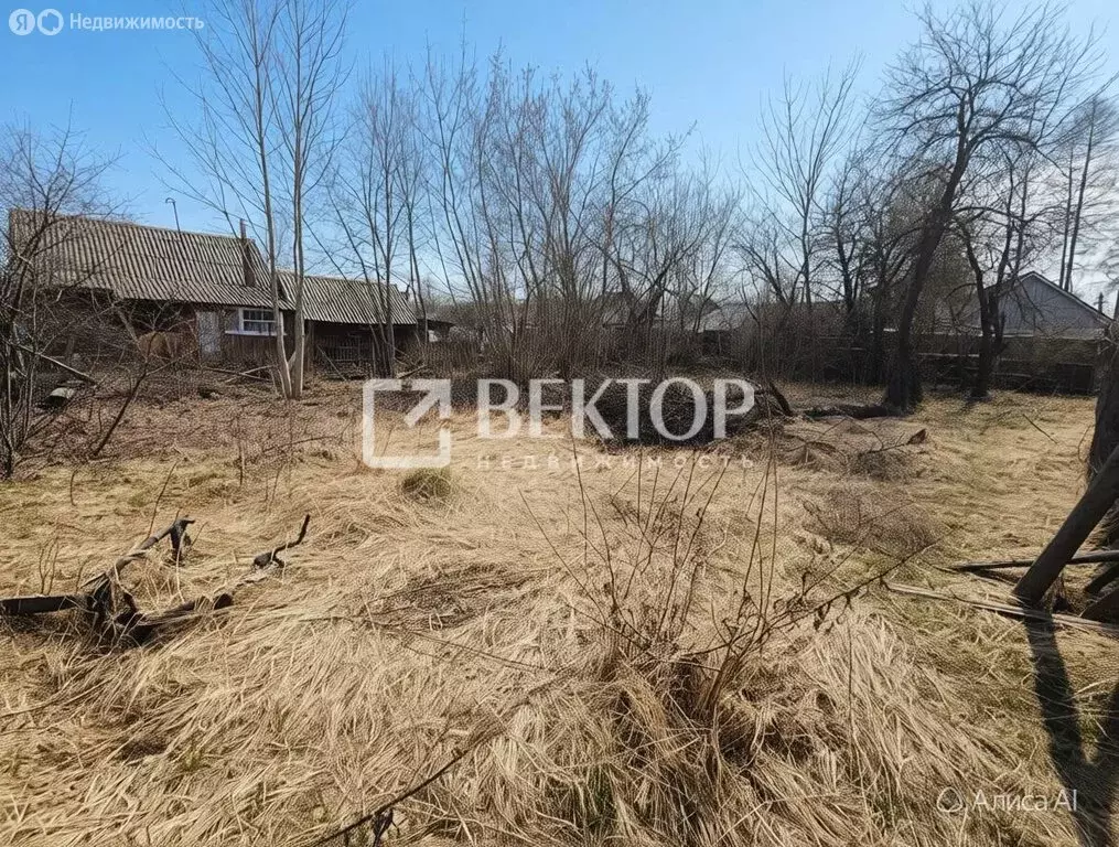 Участок в Иваново, Новгородская улица, 8 (4.12 м) - Фото 2