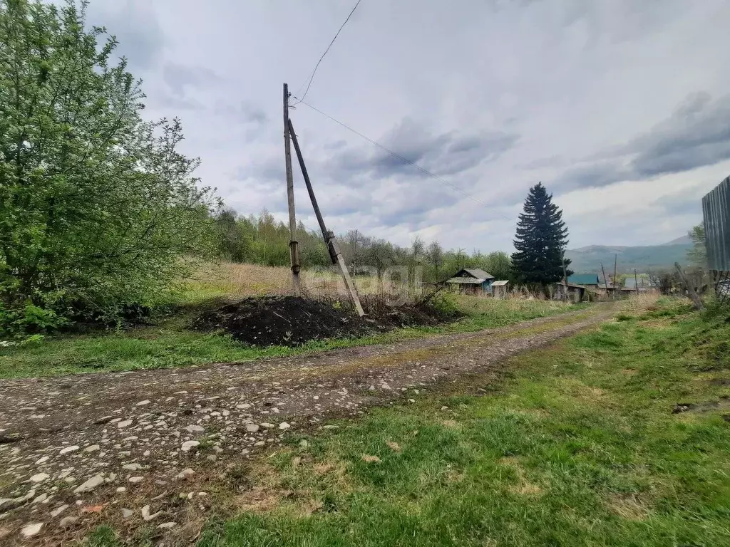 Участок в Алтайский край, Алтайский район, с. Алтайское ул. Гагарина, ... - Фото 1