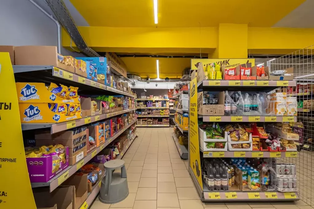 Торговая площадь в Новосибирская область, Новосибирск Ученическая ул., ... - Фото 1