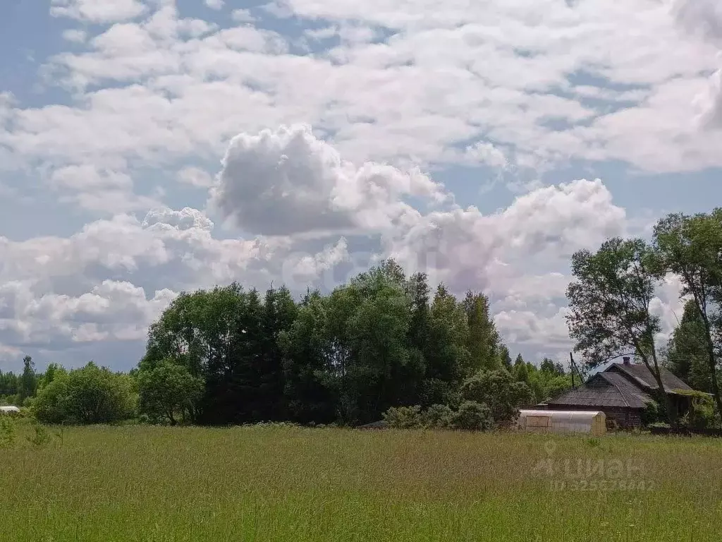 Участок в Тверская область, Калининский муниципальный округ, д. ... - Фото 2
