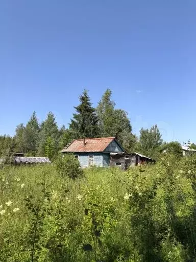 Участок 15 сот. (СНТ, ДНП) - Фото 0