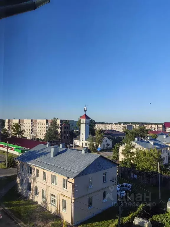 3-к кв. Псковская область, Новосокольники ул. Бабахина, 21 (58.5 м) - Фото 0