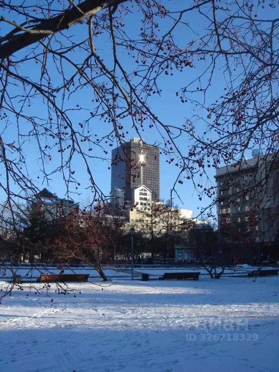 Офис в Новосибирская область, Новосибирск Депутатская ул., 46 (76 м) - Фото 1