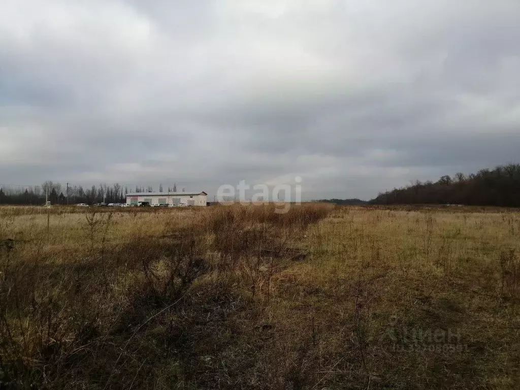 Участок в Курская область, Курский район, Щетинский сельсовет, пос. ... - Фото 2