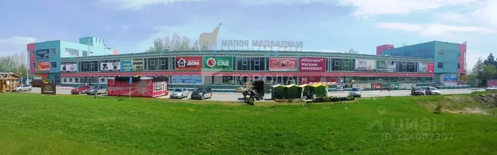 Помещение свободного назначения в Новосибирская область, Новосибирск ... - Фото 1