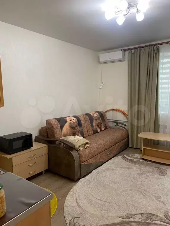 Квартира-студия, 25 м, 13/13 эт. - Фото 1