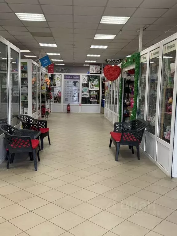 Помещение свободного назначения в Ленинградская область, Ломоносовский ... - Фото 2