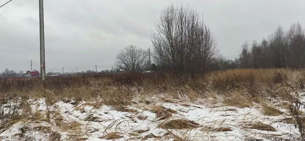 Участок в Московская область, Талдомский городской округ, д. Юркино ... - Фото 1