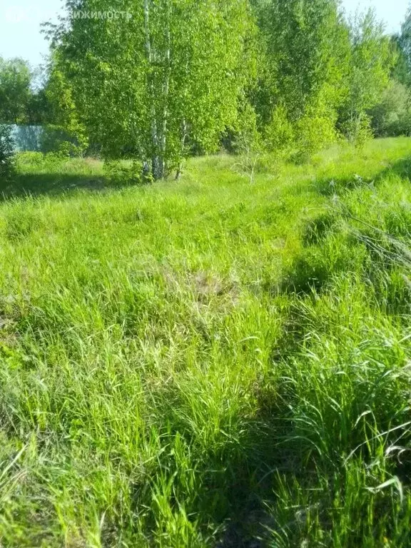 Участок в Пласт, улица Автомобилистов (9.96 м) - Фото 2