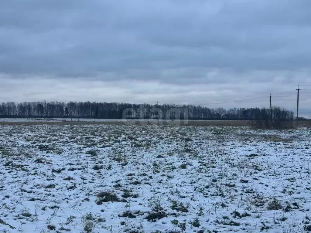 Участок в Костромская область, Красное-на-Волге городское поселение, ... - Фото 0