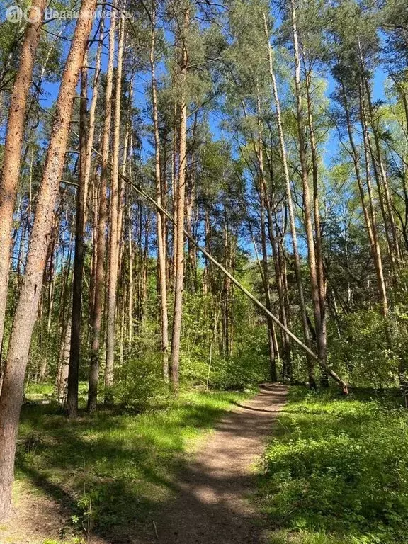 1-комнатная квартира: Москва, квартал № 100, 1к1 (20 м) - Фото 0