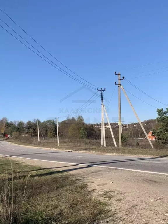 Участок в Калужская область, Ферзиковский район, Авчурино с/пос, д. ... - Фото 2