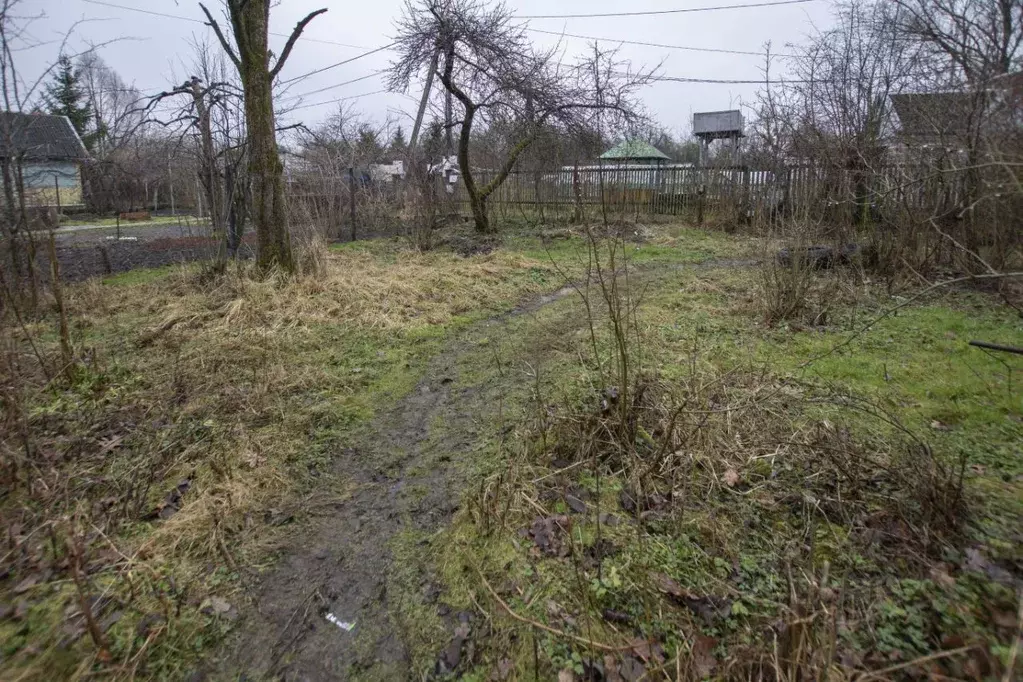 Участок в Калининградская область, Калининград Утро СНТ, ул. Озерная, ... - Фото 0