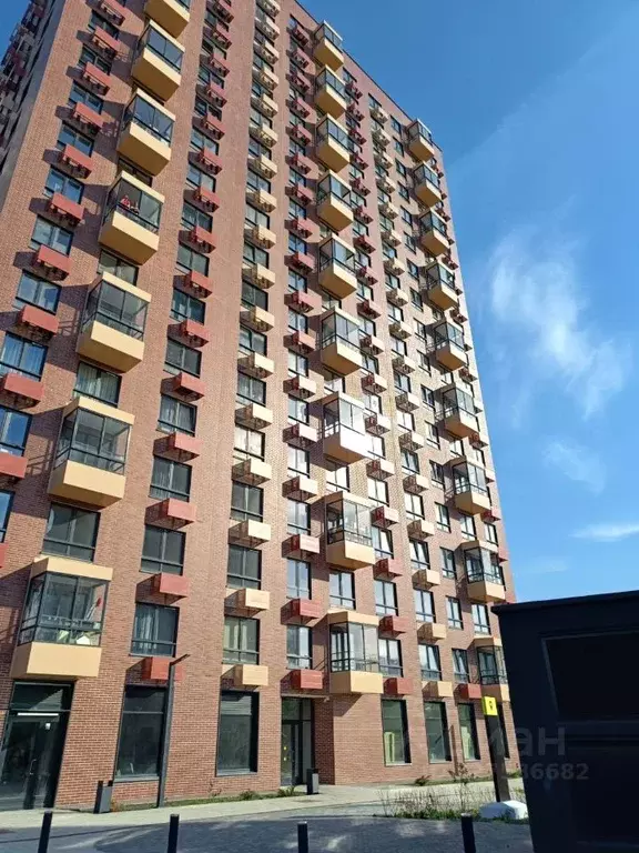 Студия Свердловская область, Екатеринбург ул. Гаршина, 3/2 (24.0 м) - Фото 1