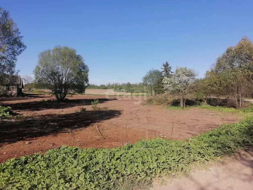 Участок в Псковская область, Печорский муниципальный округ, д. Лесицко ... - Фото 1