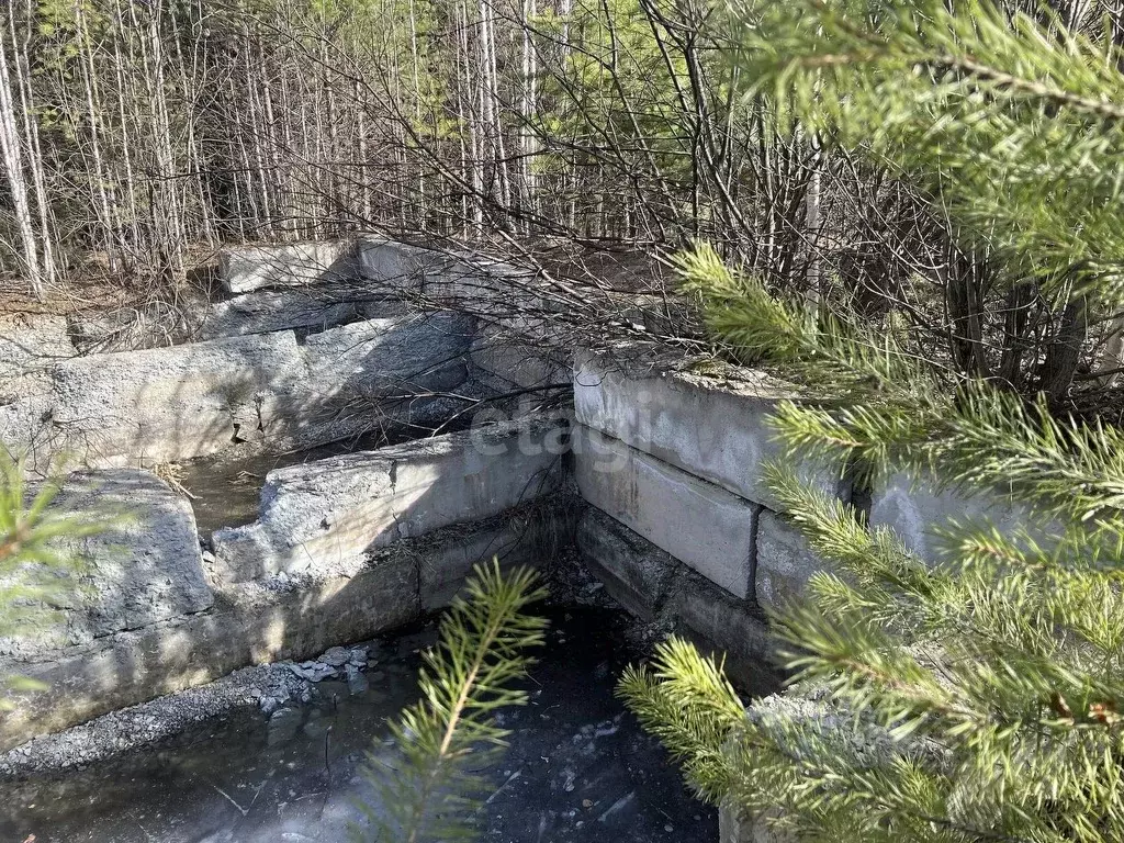 Участок в Свердловская область, Березовский городской округ, пос. ... - Фото 1