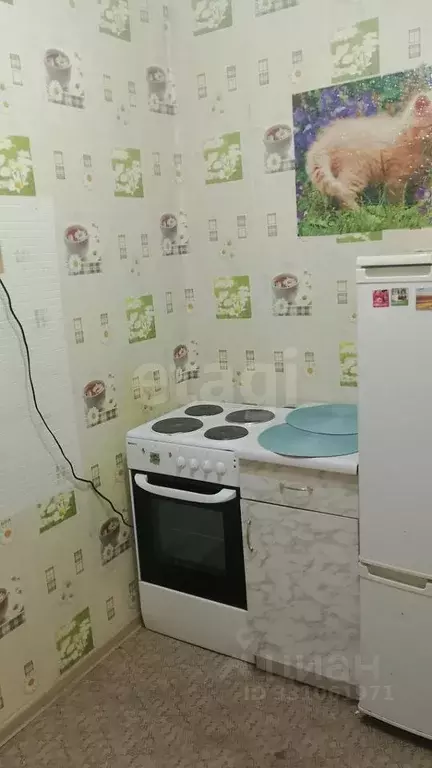 2-к кв. Коми, Сыктывкар ул. Борисова, 11 (27.5 м) - Фото 2