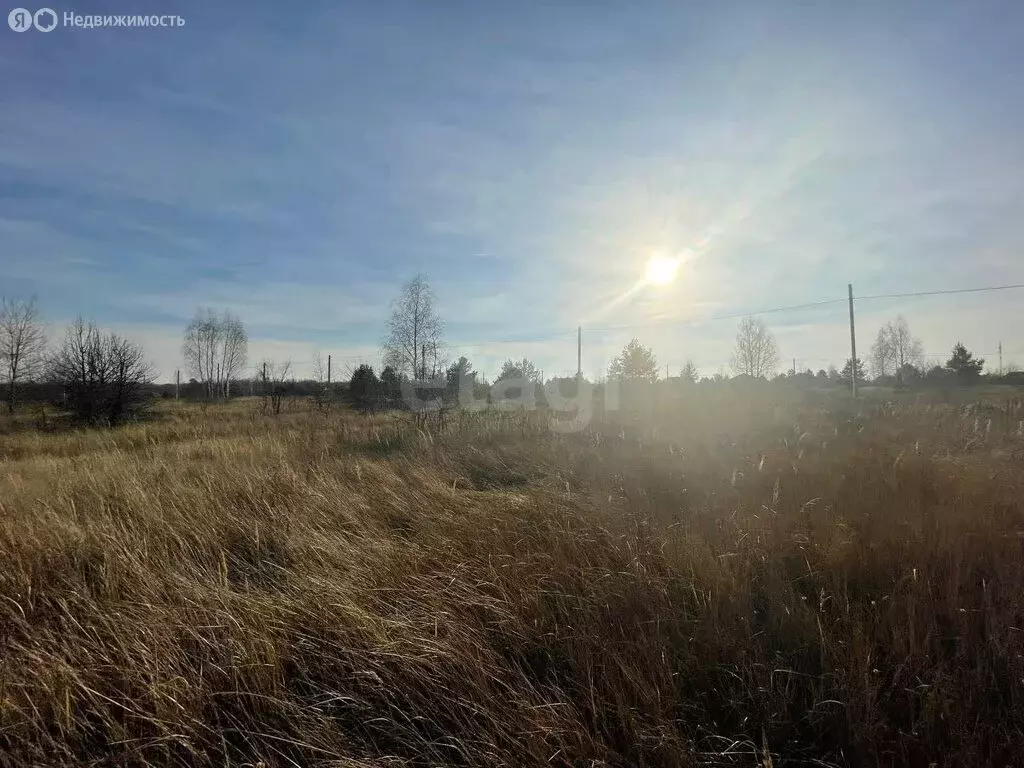 Участок в Рамонский район, Айдаровское сельское поселение, СНТ Лесная ... - Фото 2