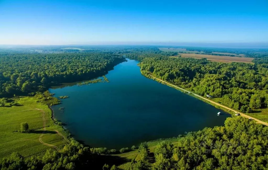Участок в Новосибирская область, Новосибирский район, Березовский ... - Фото 1