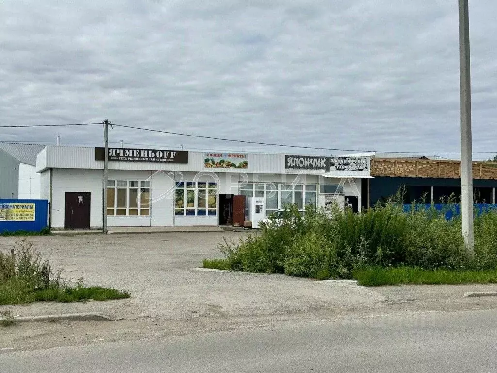 Участок в Тюменская область, Тюменский муниципальный округ, Маяк СНТ ... - Фото 2