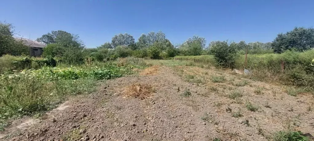 Участок в Краснодарский край, Северский район, Афипское городское ... - Фото 2