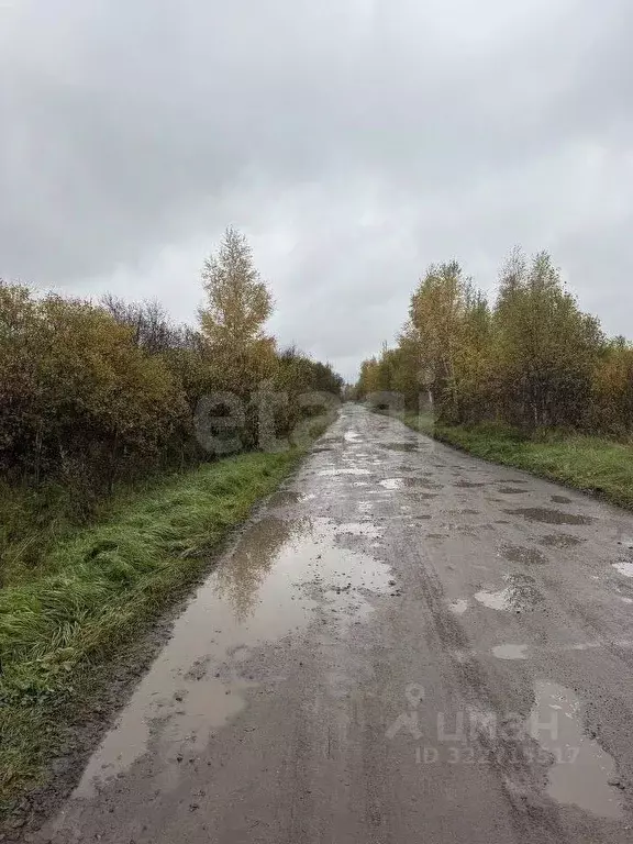 Дом в Ярославская область, Рыбинск Западный п/р, ул. Журнальная, 5 (33 ... - Фото 1