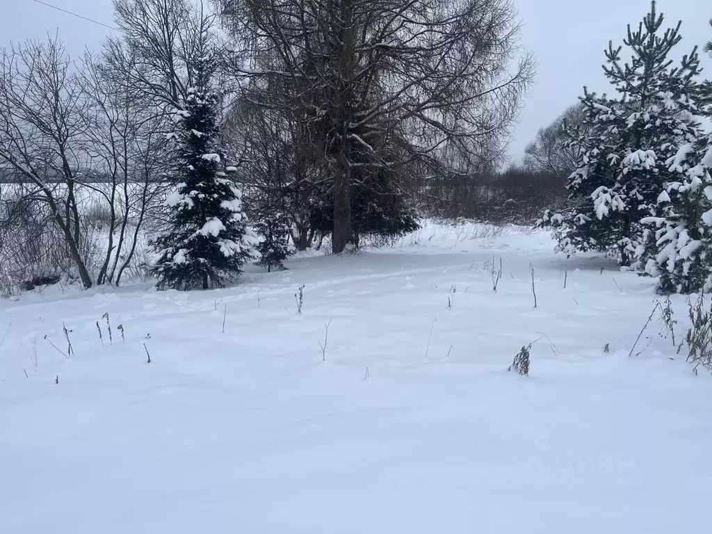 Участок в Московская область, Истра муниципальный округ, д. Дедешино  ... - Фото 1