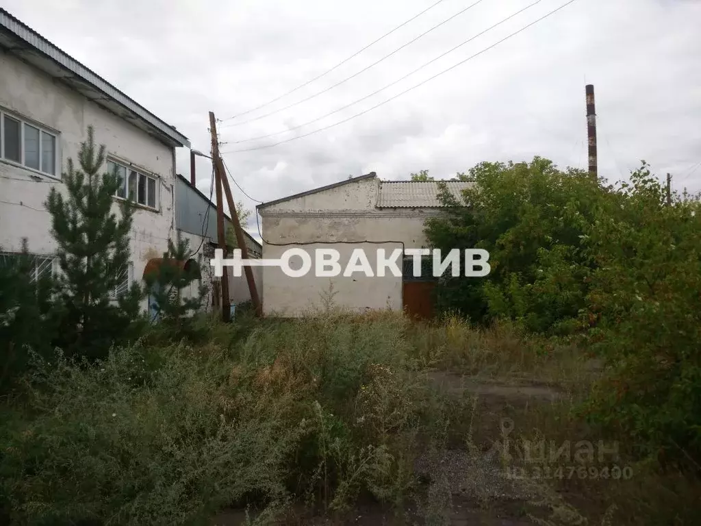 Производственное помещение в Новосибирская область, Чистоозерный ... - Фото 1
