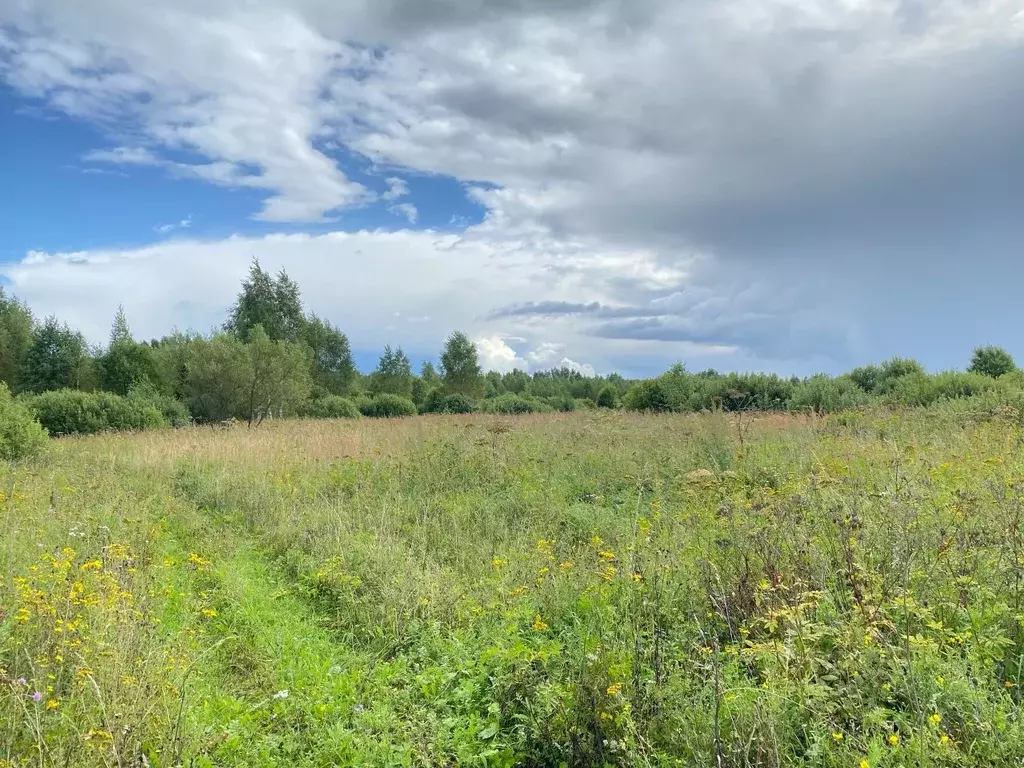 Участок в Калужская область, Малоярославецкий муниципальный округ, ... - Фото 2