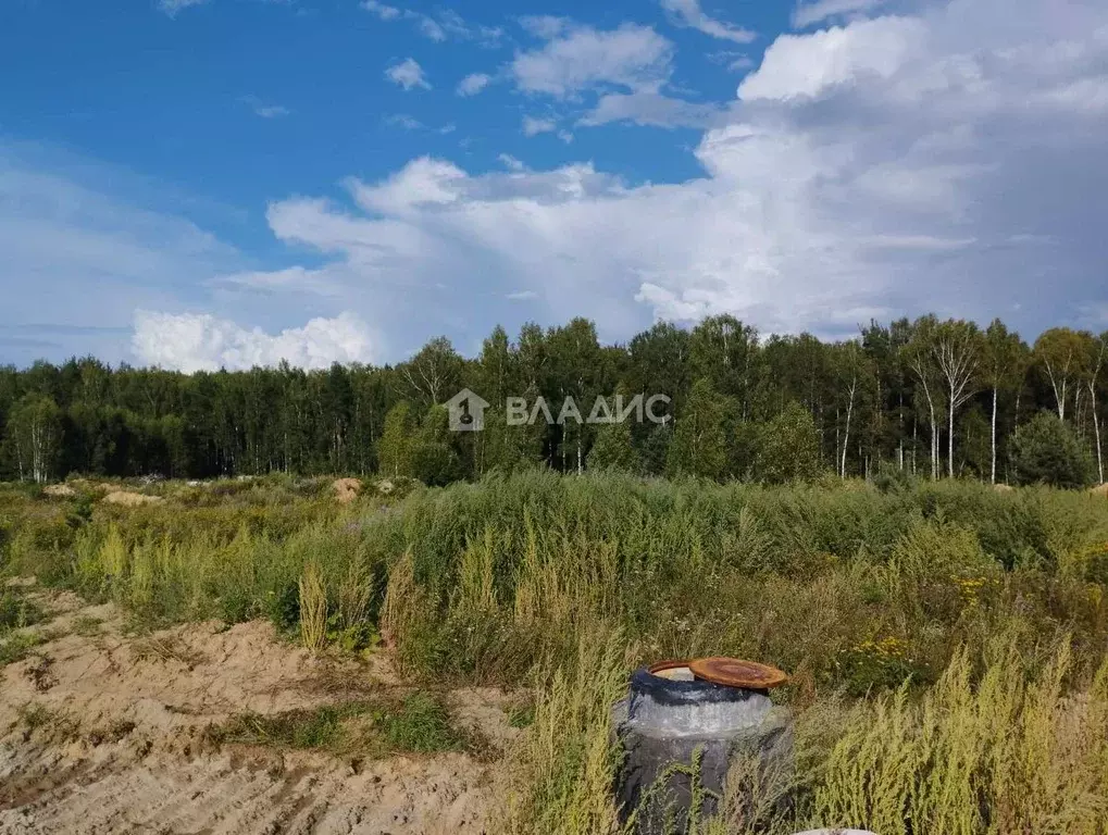 Участок в Владимирская область, Ковровский район, Доброград ... - Фото 0