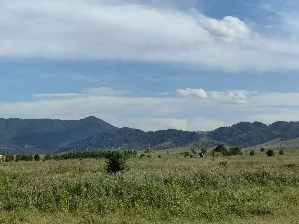 Участок в Алтайский край, Смоленский район, пос. Красный Городок  ... - Фото 1