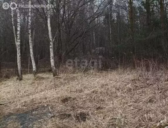 Участок в Псковский район, Карамышевская волость, СНТ Дружба (5.99 м) - Фото 2