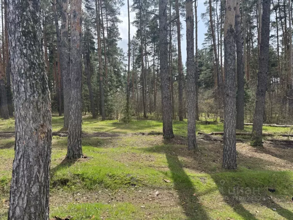 Участок в Московская область, Подольск городской округ, Бородино кп ... - Фото 0