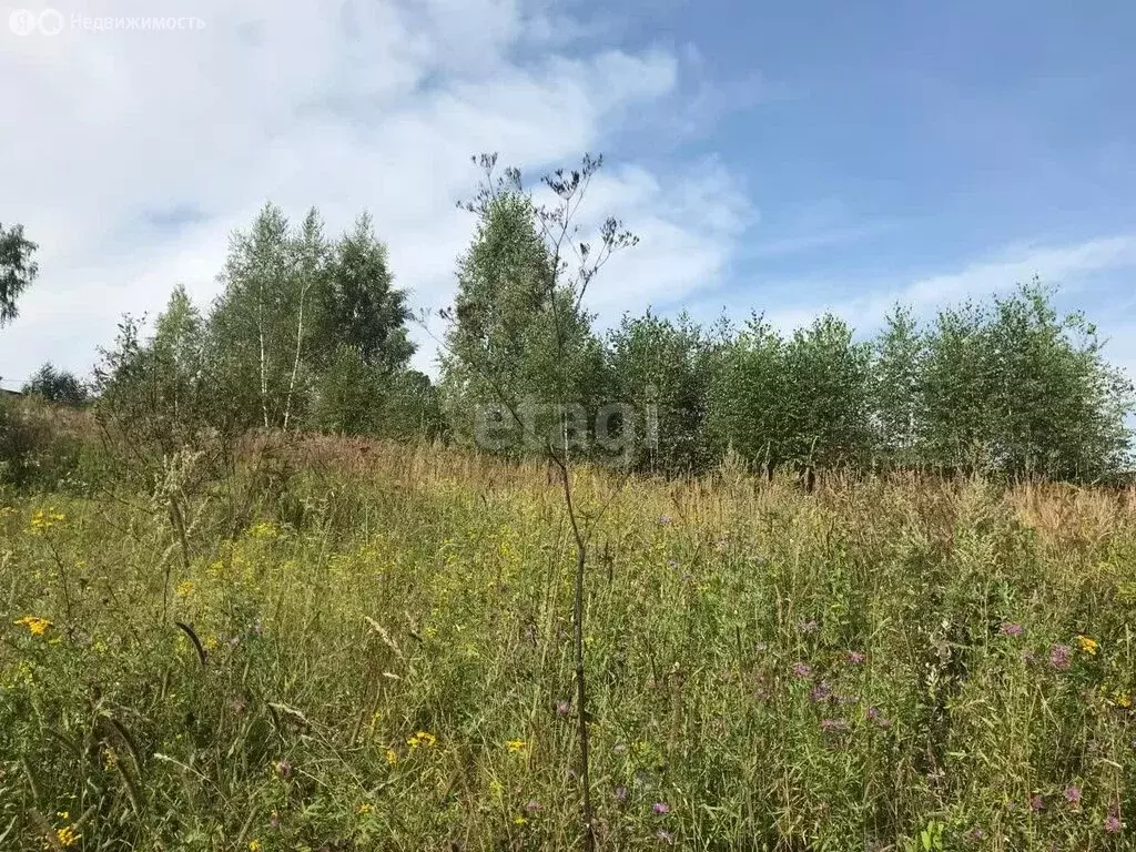 Участок в Московская область, городской округ Серпухов, деревня ... - Фото 1