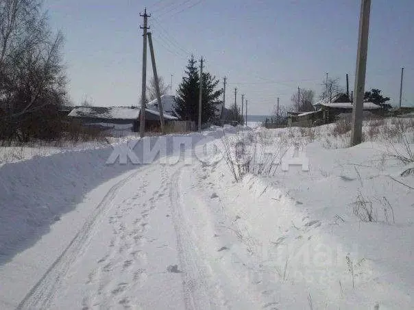 Участок в Новосибирская область, Ордынский район, д. Абрашино ... - Фото 2