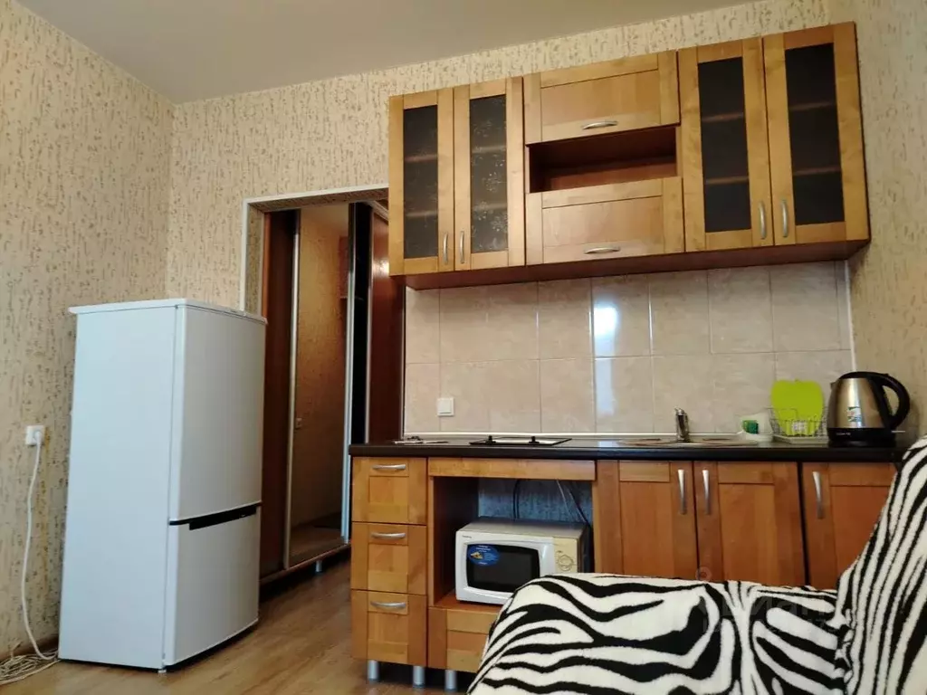 1-к кв. Новосибирская область, Новосибирск ул. Костычева, 74/1 (26.0 ... - Фото 0