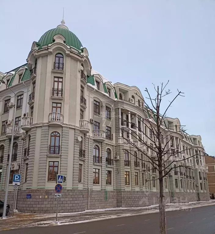 Помещение свободного назначения в Татарстан, Казань ул. Дзержинского, ... - Фото 1