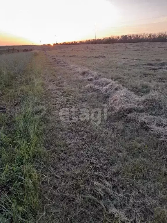 Участок в Белгородская область, Вейделевский район, Малакеевское ... - Фото 1