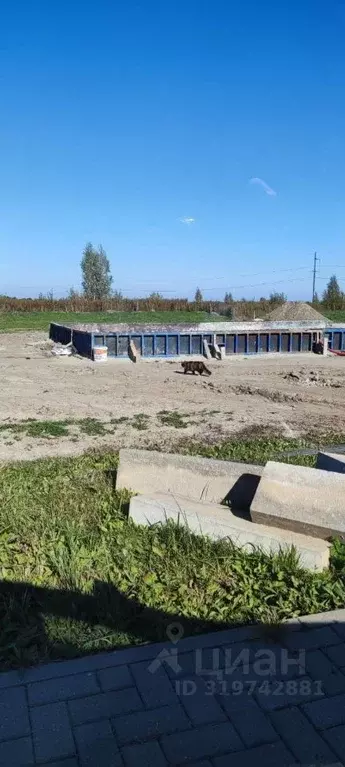 Участок в Калининградская область, Гурьевский муниципальный округ, ... - Фото 0