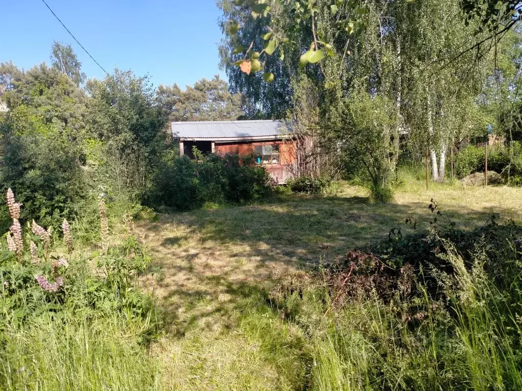 Участок в Московская область, Можайский муниципальный округ, Ромашка ... - Фото 1