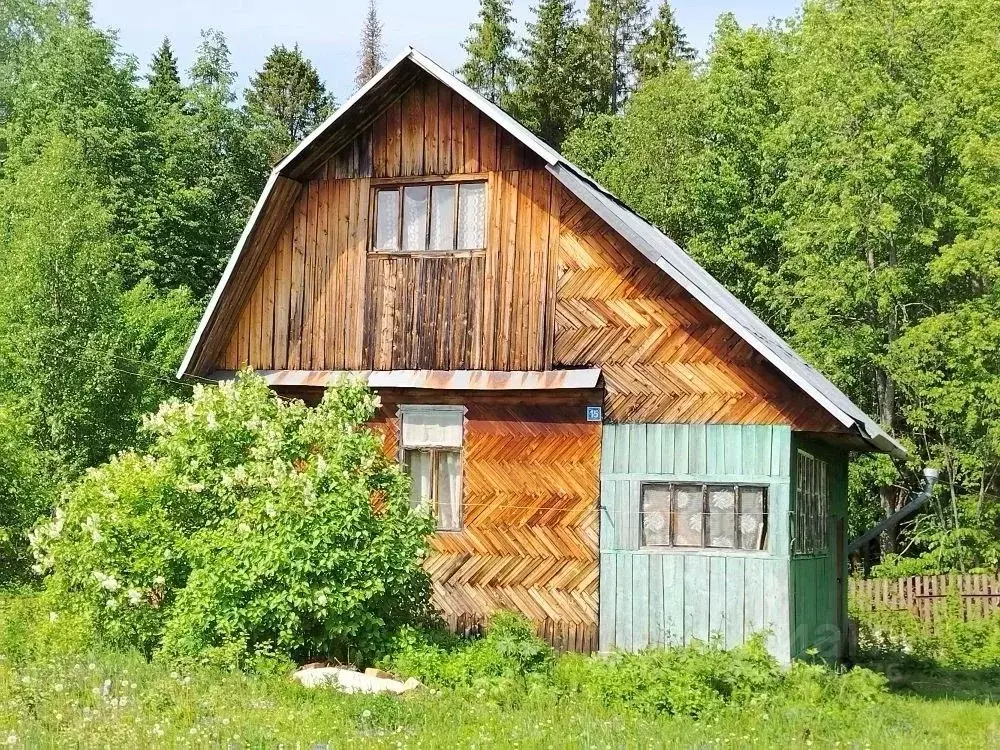 Дом в Пермский край, Пермский муниципальный округ, Мечта СНТ 15 (16 м) - Фото 2