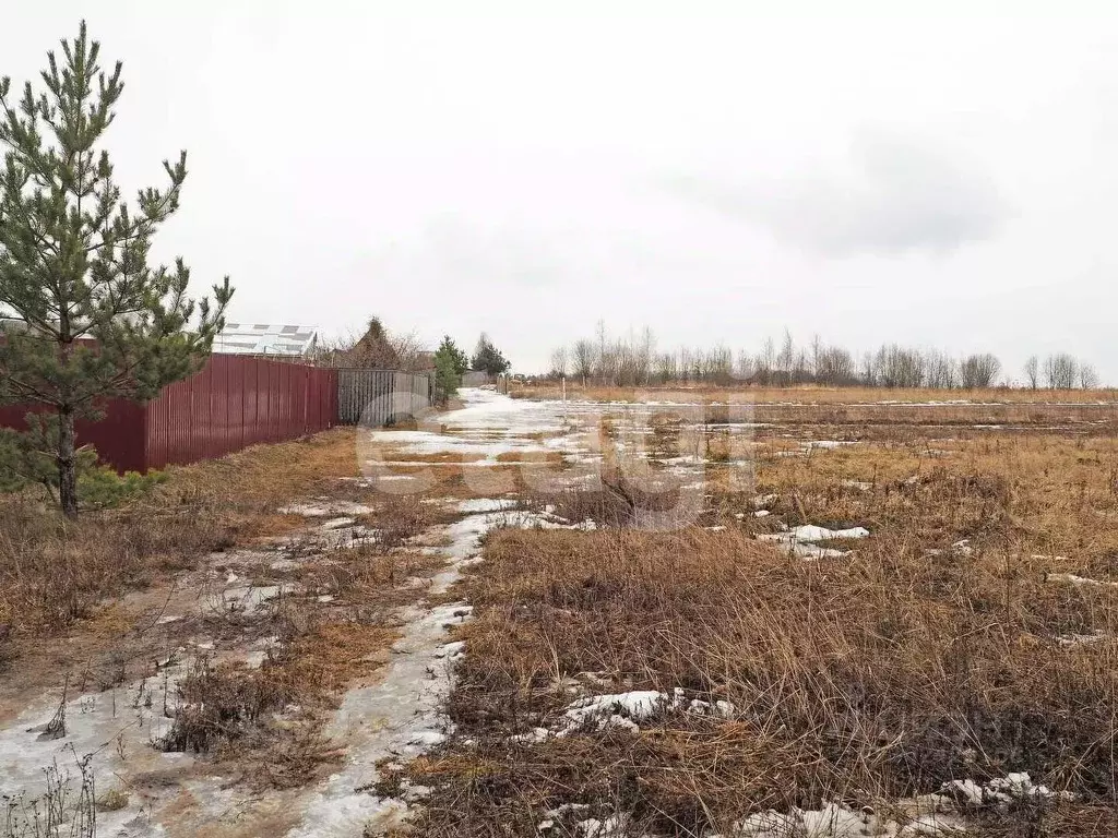 Участок в Владимирская область, Муромский район, Борисоглебское ... - Фото 0